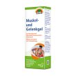 Muskel- und Gelenkgel SUNLIFE 100 ml