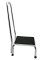 Trittstufe mit Haltegriff chrom/schwarz