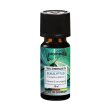 PROMED Duftöl/Aromaessenz Eukalyptus 10ml