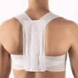 Bort Geradehalter StabiloFix, elastisch Farbe: grau Gr. 4