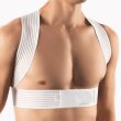Bort Geradehalter StabiloFix, elastisch Farbe: grau Gr. 1