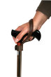 Stockschlaufe, Leder Farbe: schwarz