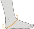 Sprunggelenkorthese PROCARE Stabilized Ankle Brace...