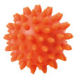 Igelball - Noppenball 2er Set, 2 Stück im...